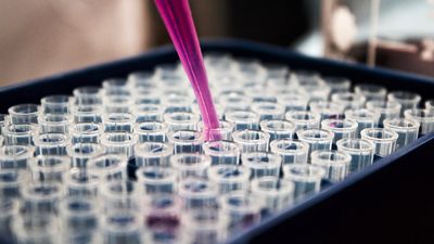 Claves para optar a 140 empleos en prácticas en el CSIC