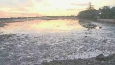 Nuevo Baztán levanta un muro ante las próximas tormentas