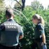 Liberadas ocho personas obligadas a vigilar una plantación de marihuana