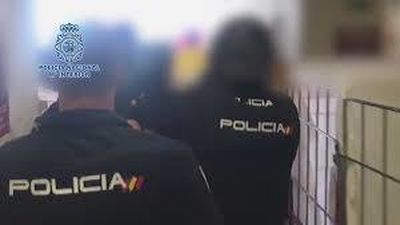 Detenido un hombre en Elche  por cultivar más de  600 plantas de marihuana en su domicilio