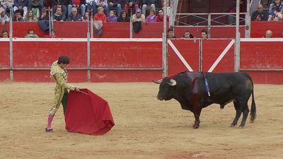 Feria Taurina de Riaza 21.09.2019