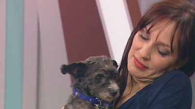 Un hogar para Pluto y Moni