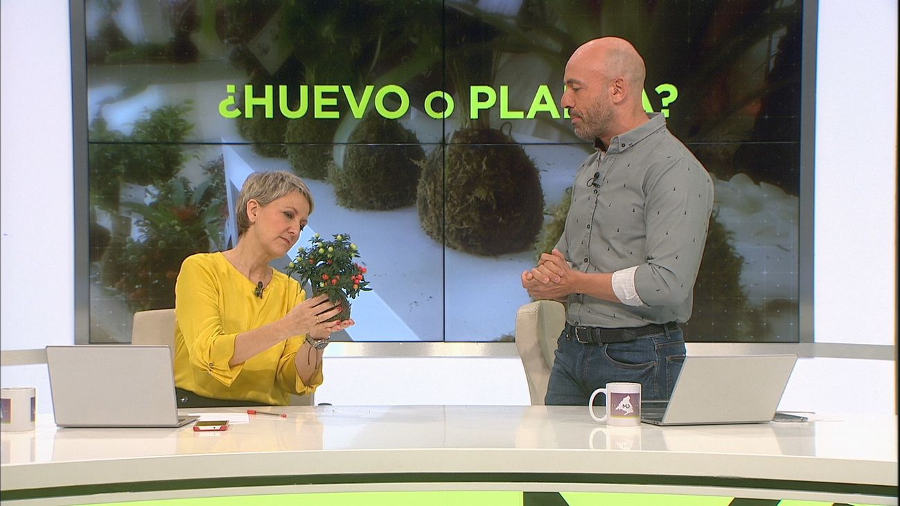 Madrid Directo 25.09.2019