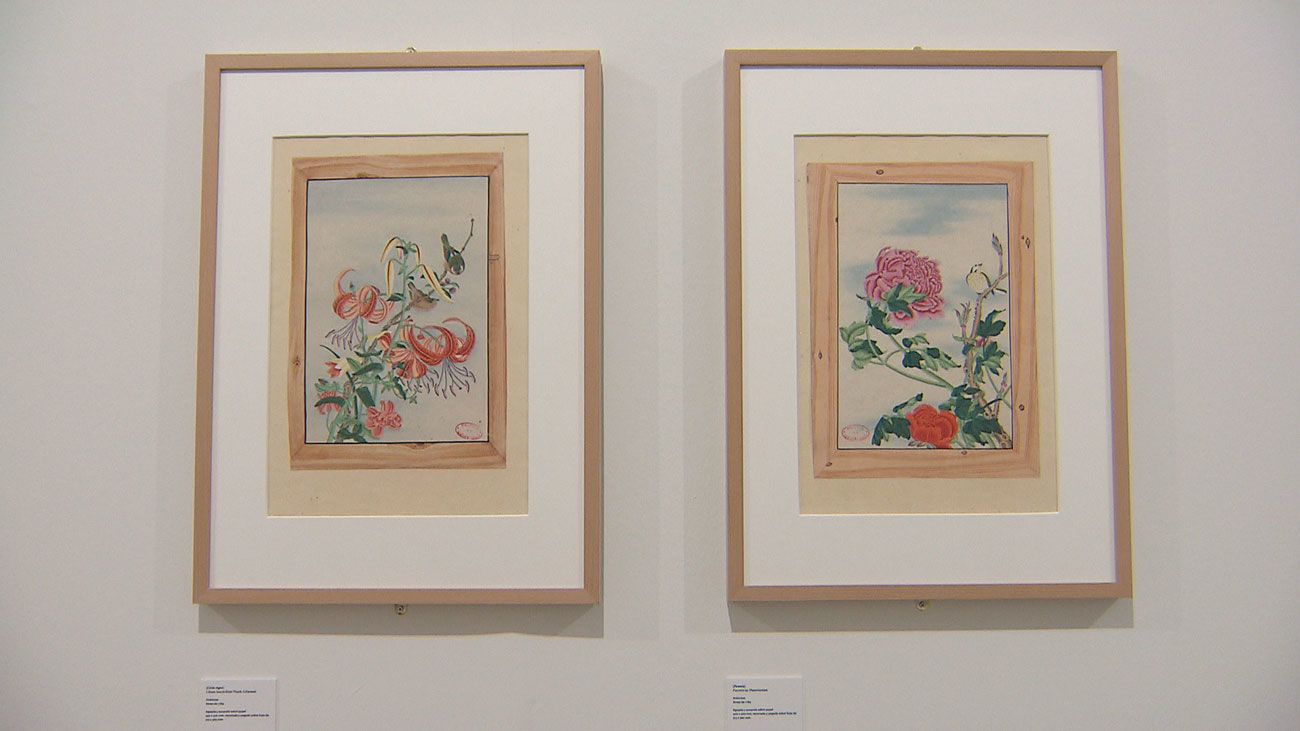 Arte y ciencia se dan la mano en la nueva exposición del Real Jardín Botánico