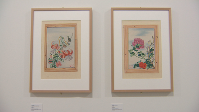 Arte y ciencia se dan la mano en la nueva exposición del Real Jardín Botánico