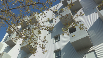 El precio medio del alquiler en la Comunidad alcanzó los 819 euros al mes en 2018, el más caro de España