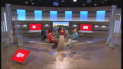 ¿Crees que el plan Madrid 360 mejora Madrid Central?