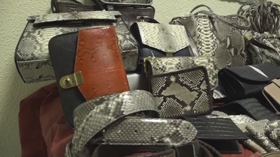 Nuevo golpe policial contra la falsificación y venta de productos hechos con pieles prohibidas