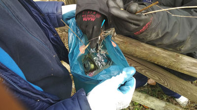 Limpian el río Guadalix ante la basura que se concentra a sus orillas