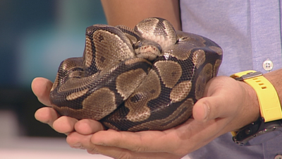 Un hogar para Montse