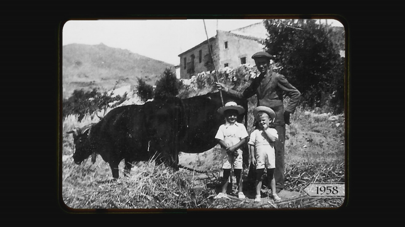 Los mejores recuerdos de Moralzarzal