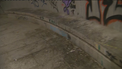 Diez multas al día en Madrid por orinar en la calle