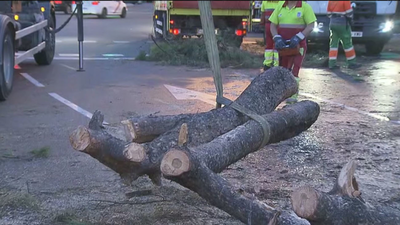 Habilitan dos carriles en sentido contrario  para subir en dirección norte por la Castellana