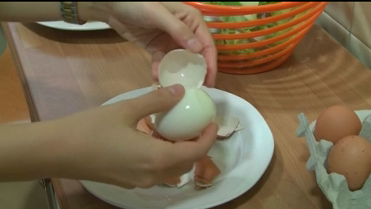 Las preguntas y respuestas de toda la vida sobre el huevo