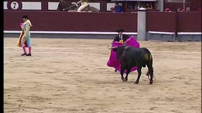 Toros en Telemadrid: tradicional festejo del Día de la Hispanidad (Parte 2)