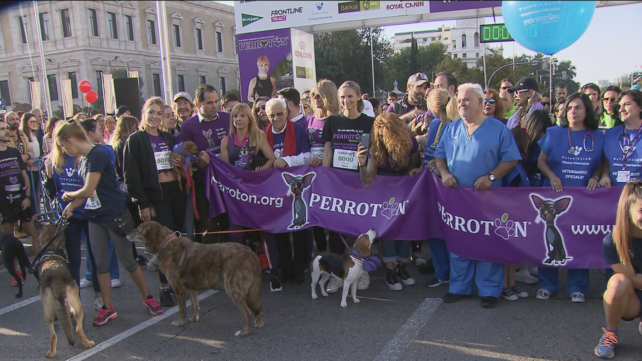 Aguado insta a buscar más espacios de convivencia entre personas y animales