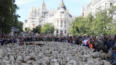 Numerosas calles de Madrid tendrán cortes de tráfico este fin de semana