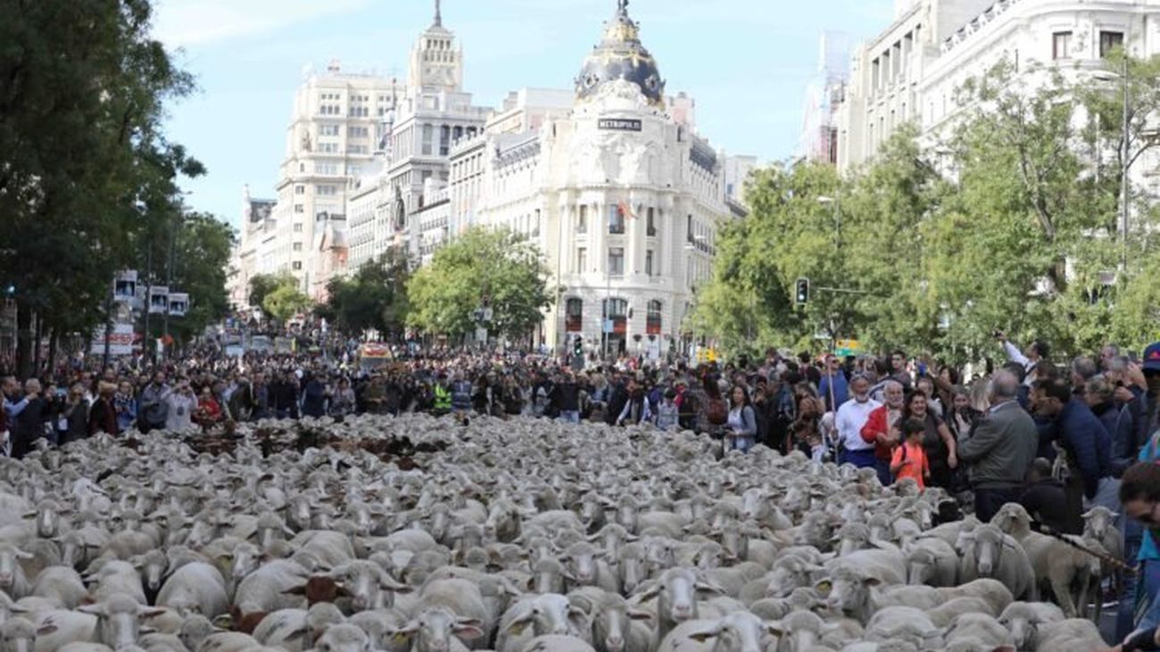 Numerosas calles de Madrid tendrán cortes de tráfico este fin de semana