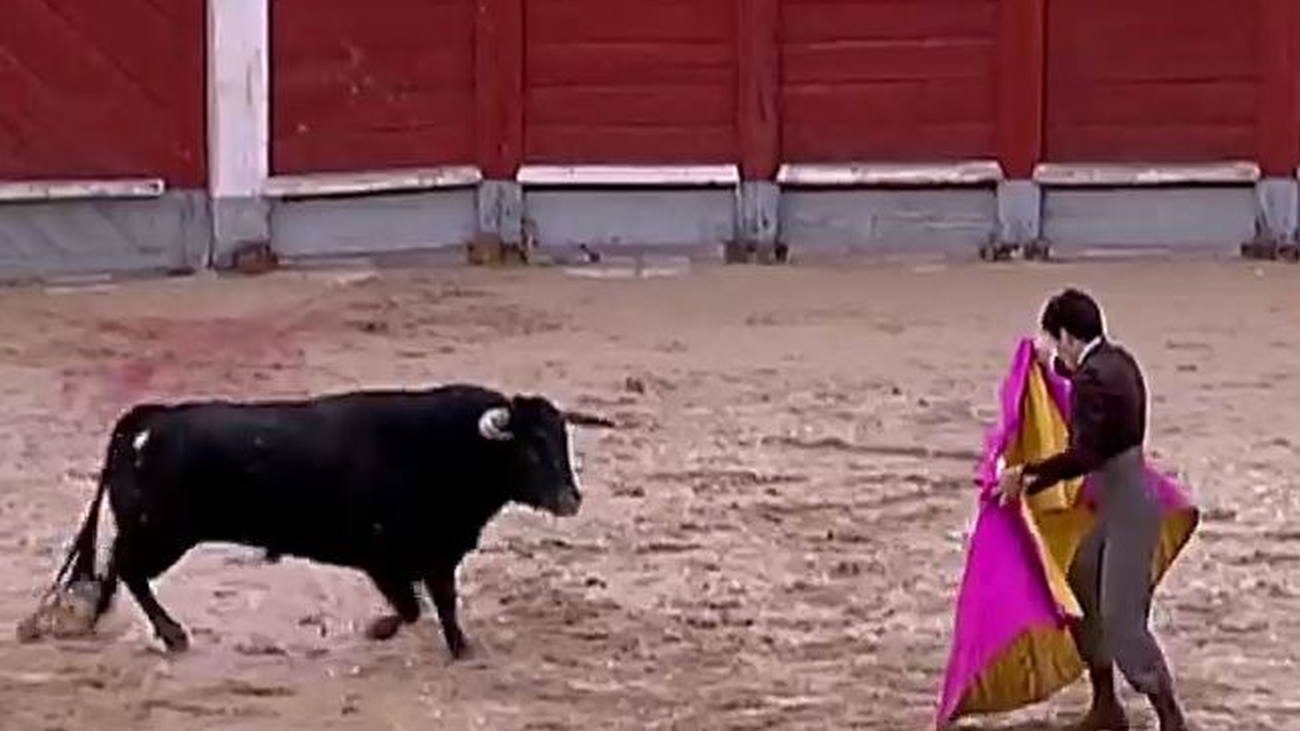 Chinchón cierra la temporada taurina de este 2019 (parte 2)