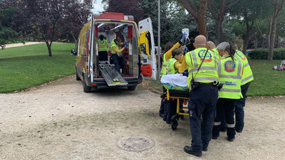 Herido grave un hombre de 54 años al caer desde un árbol a siete metros de altura