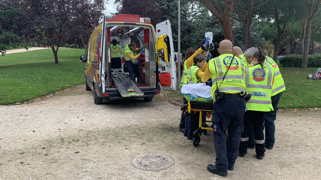 Herido grave un hombre de 54 años al caer desde un árbol a siete metros de altura