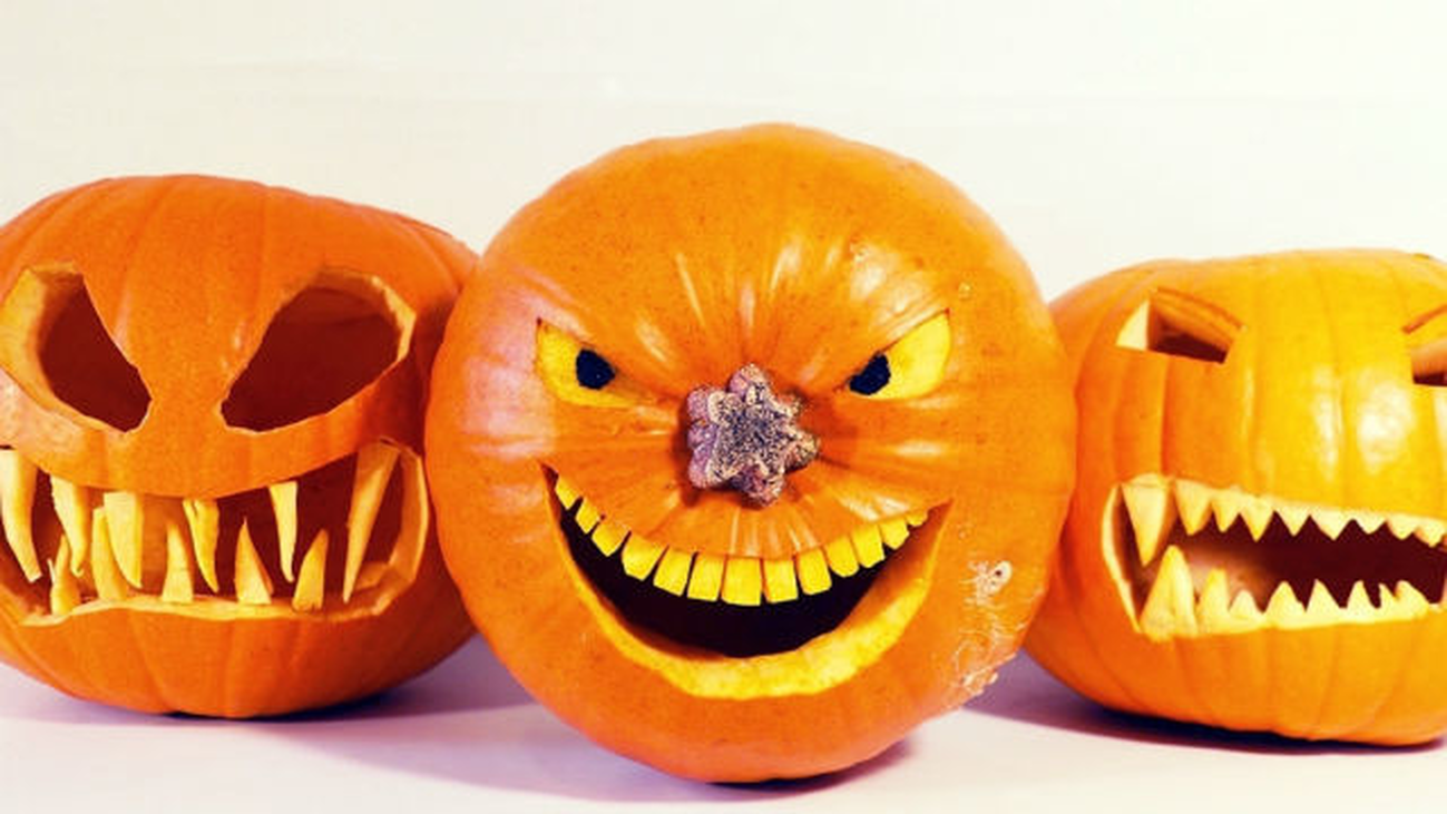 Las calabazas de Halloween vienen de Villaconejos