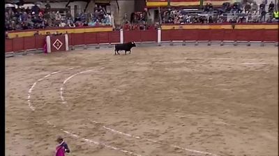 El triunfal festival de Chinchón pone punto y final a la temporada taurina en España