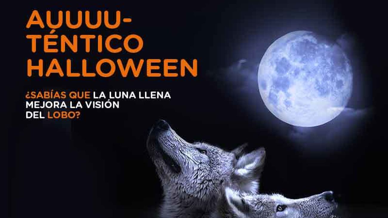 Ésta es la sorprendente historia del Zoo de Madrid