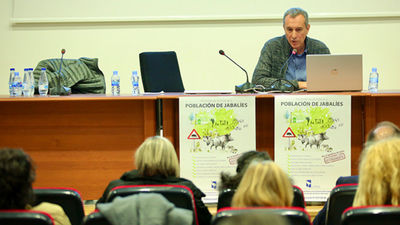 Las Rozas invierte 500.000 euros en más medidas para controlar a los jabalíes