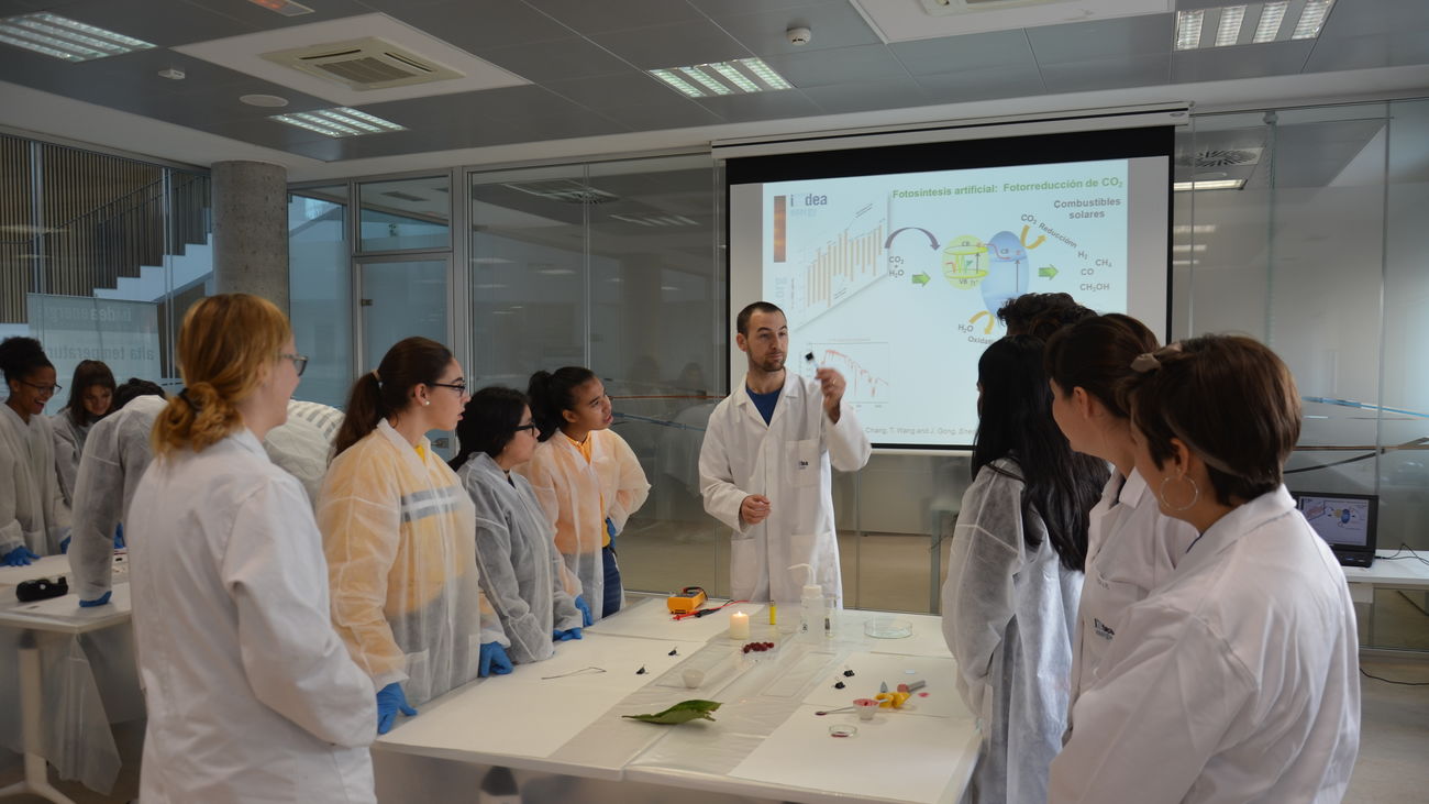 Taller celda solar con colorantes, fotosíntesis artificial y materiales. IMDEA Energía.