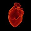 El uso de los betabloqueantes tras un infarto no reduce la mortalidad ni evita un nuevo ataque de corazón