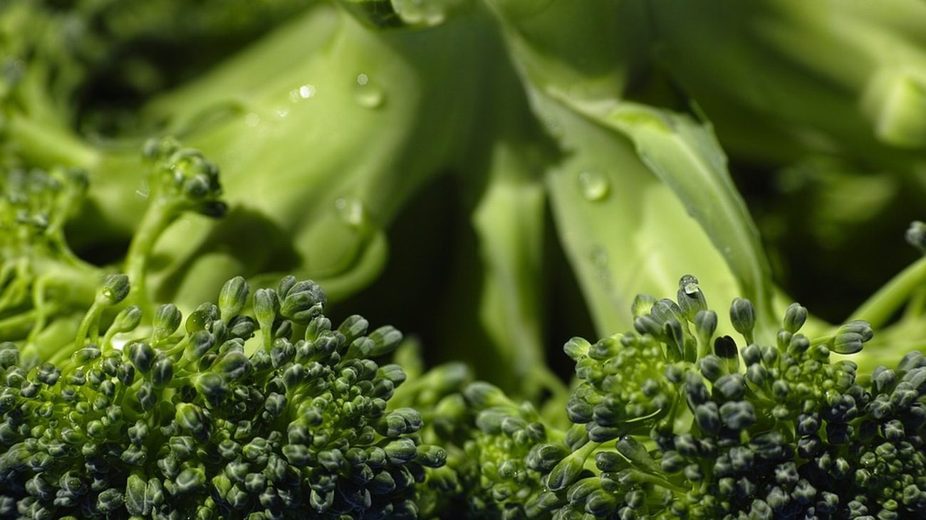 ¿Cómo llevar una dieta vegana?