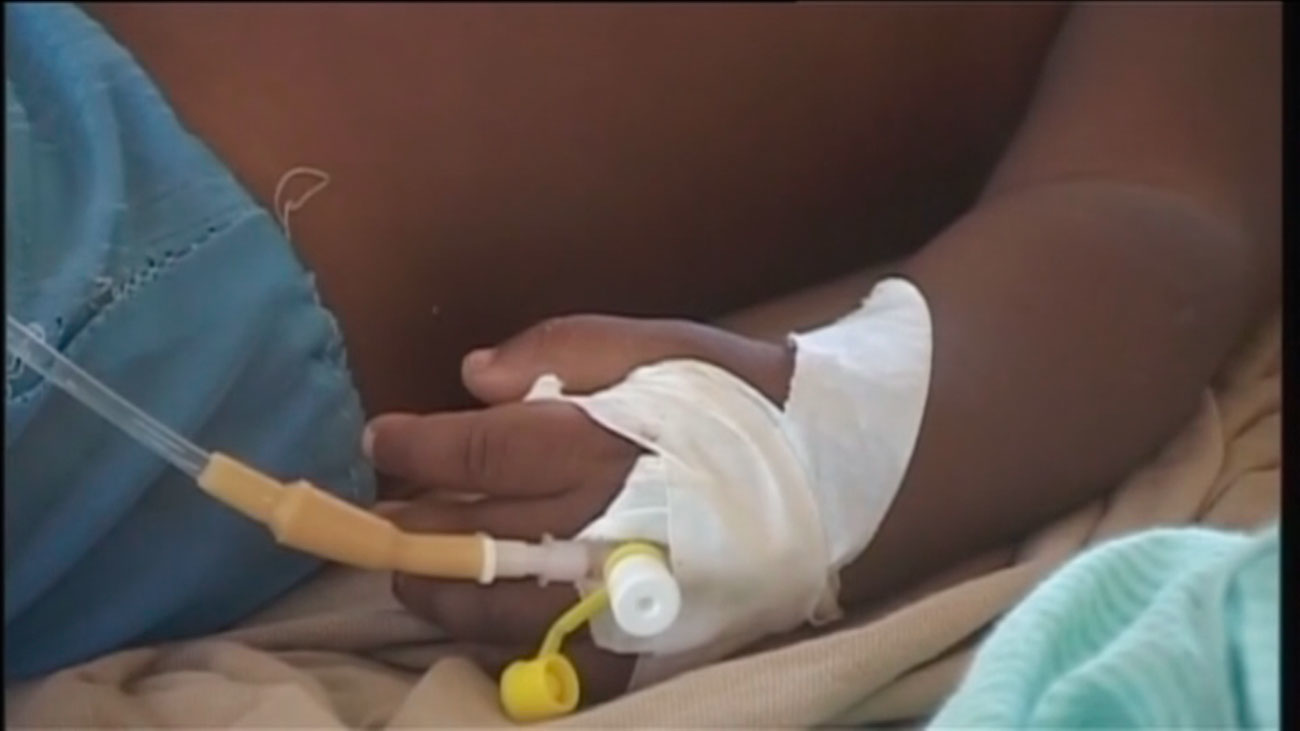 La malaria podría tener los días contados gracias a un madrileño