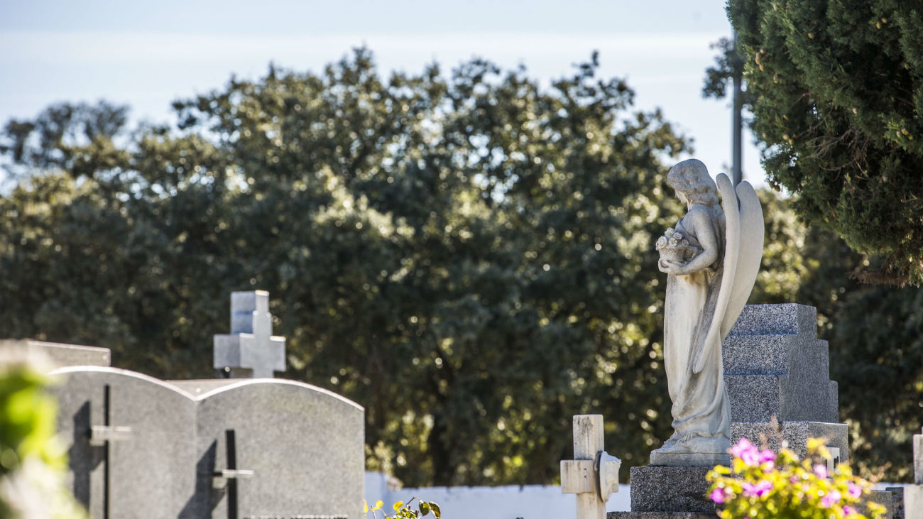 Cementerio de Las Rozas