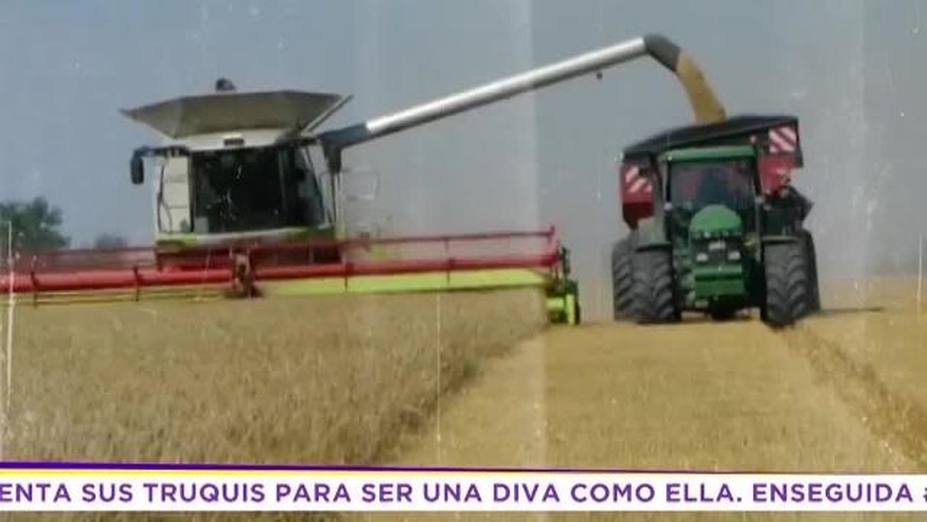 El Madroño 1.11.2019