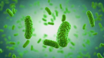 Salud al día 03.11.2019