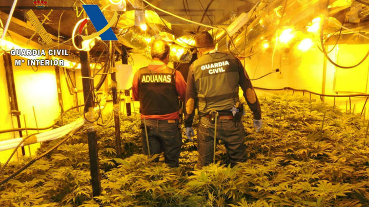 La Guardia Civil incauta marihuana