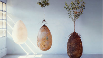 Así son los sepelios ecológicos, con urnas submarinas y ataúdes biodegradables