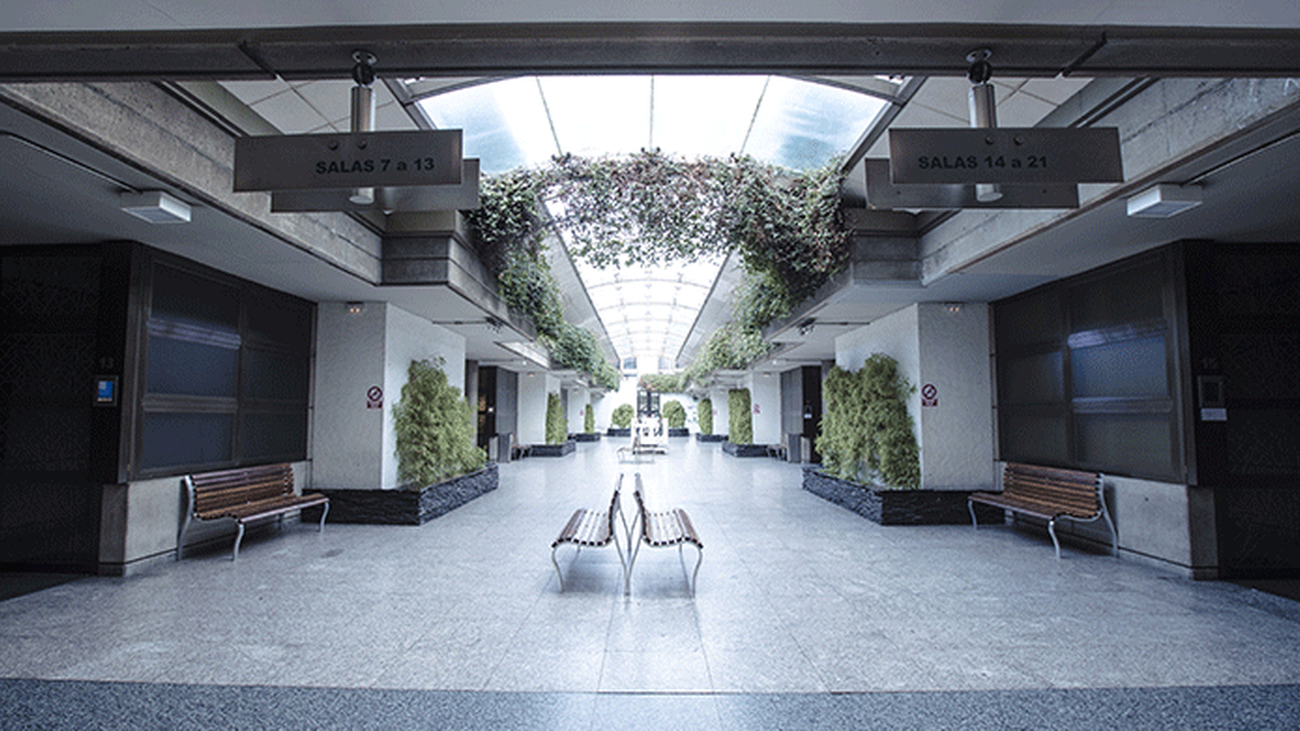 ¿Qué perfiles profesionales trabajan en los Servicios Funerarios de Madrid?