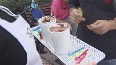 Helados veganos hechos con leche de anacardos y aceite de coco
