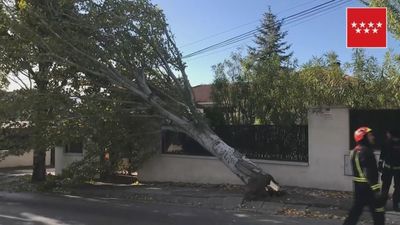 Más de 300 salidas de los bomberos por el viento en la región