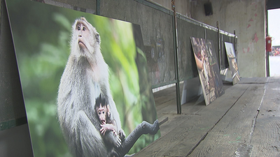 DouFest, fotoperiodismo en cinco continentes