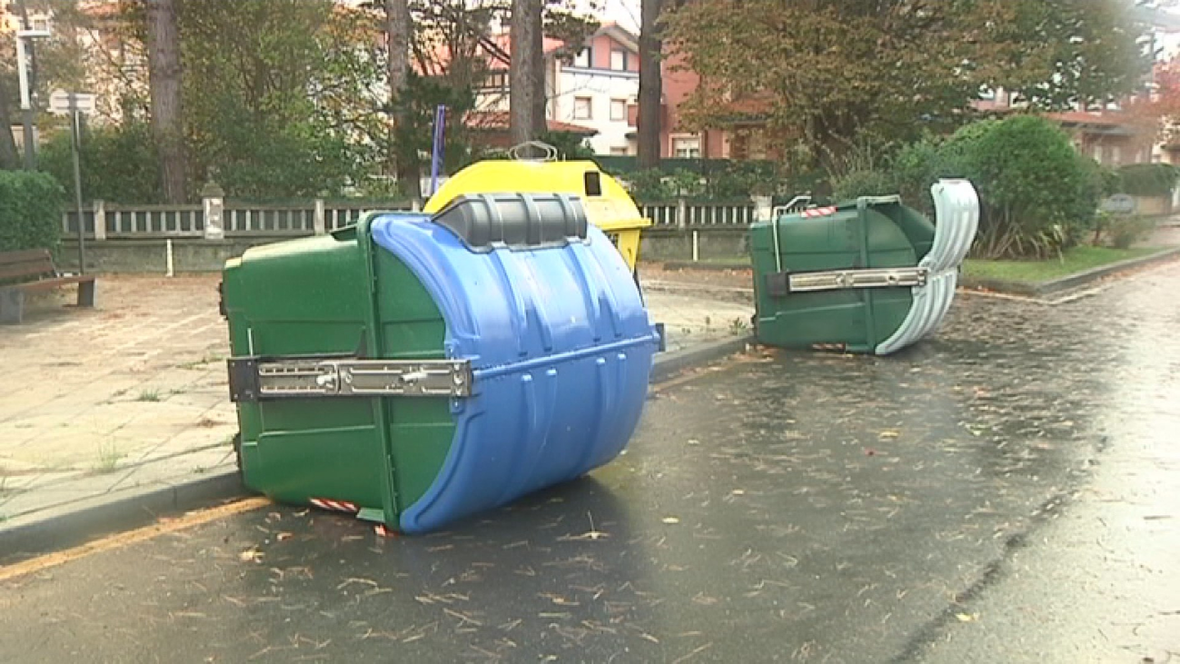 Fallece una mujer en Mallorca tras caerle una palmera por el fuerte viento