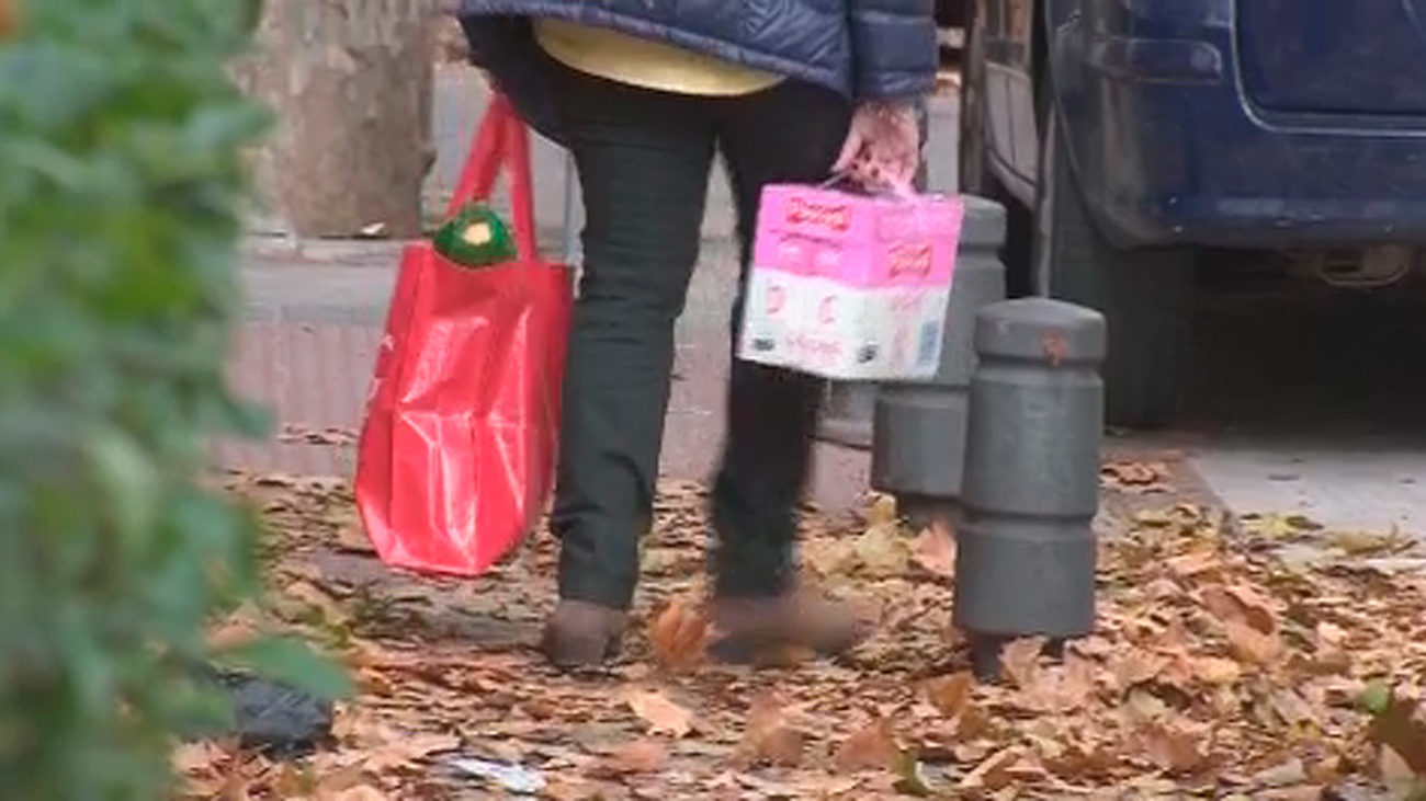 El PSOE propone contratar 700 trabajadores para recoger las hojas de los árboles en Madrid