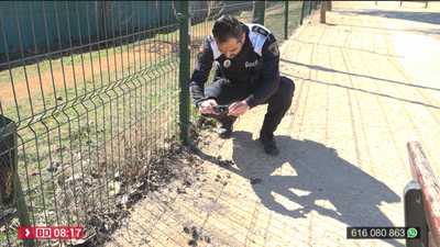 Las heces caninas en Alcalá de Henares, a examen para multar a los dueños que no las recojan