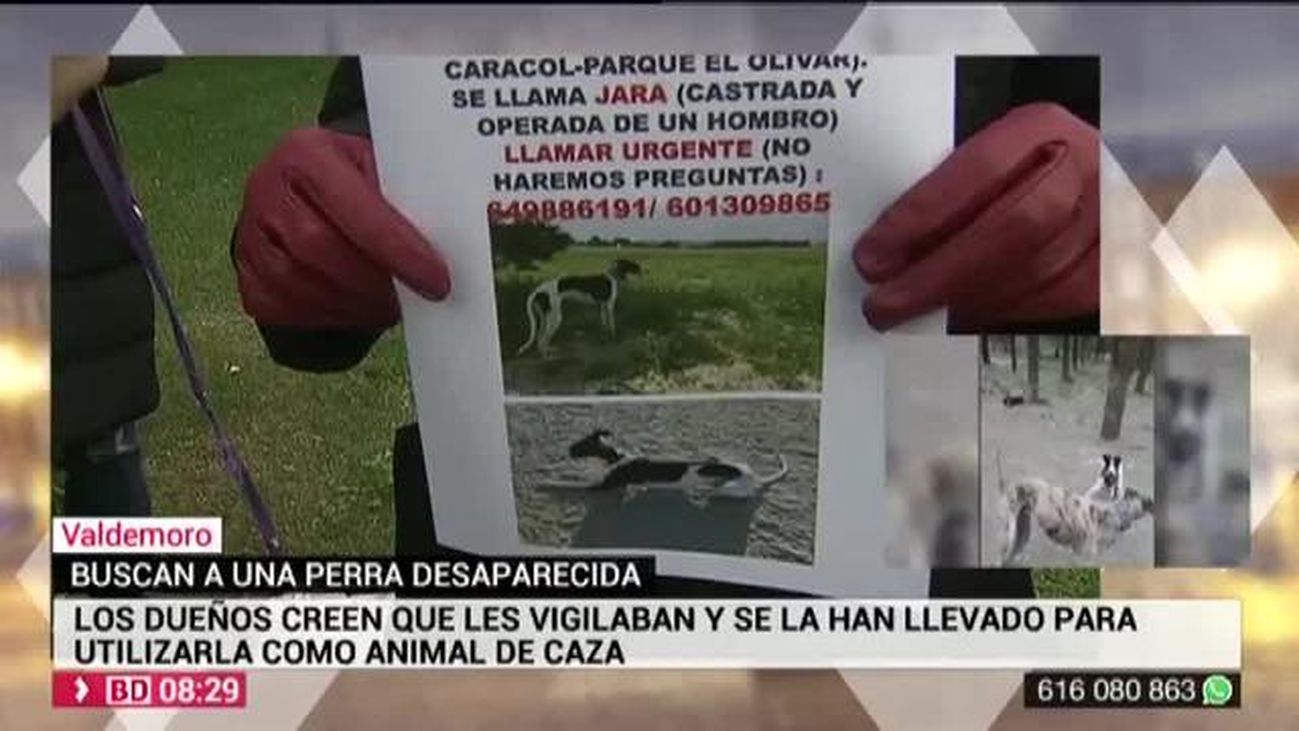 Buenos Días Madrid 06.11.2019 (8.00 - 9.00)