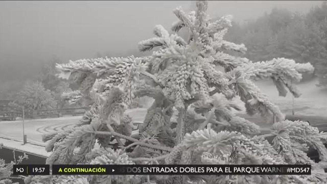 Madrid Directo 08.11.2019