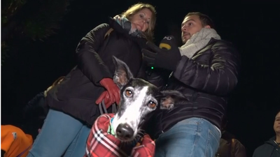 Final feliz para Jara y su familia