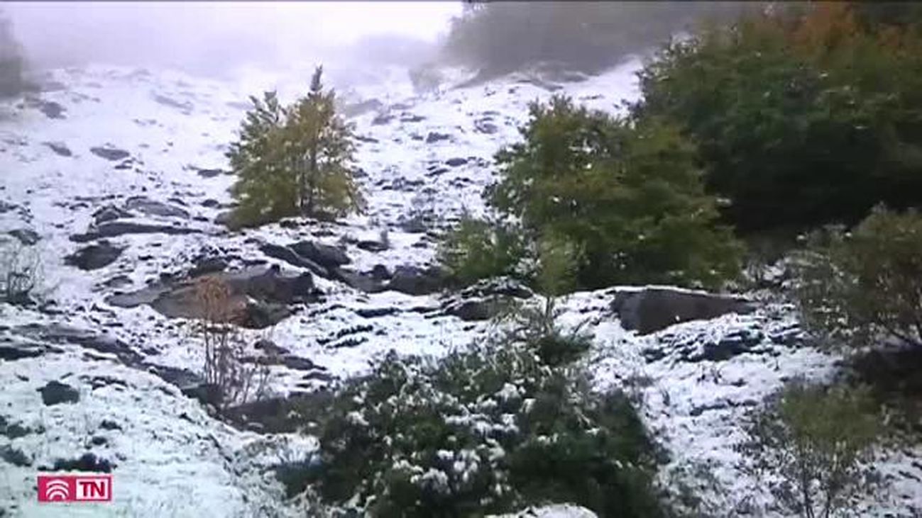 El Tiempo 12.11.2019