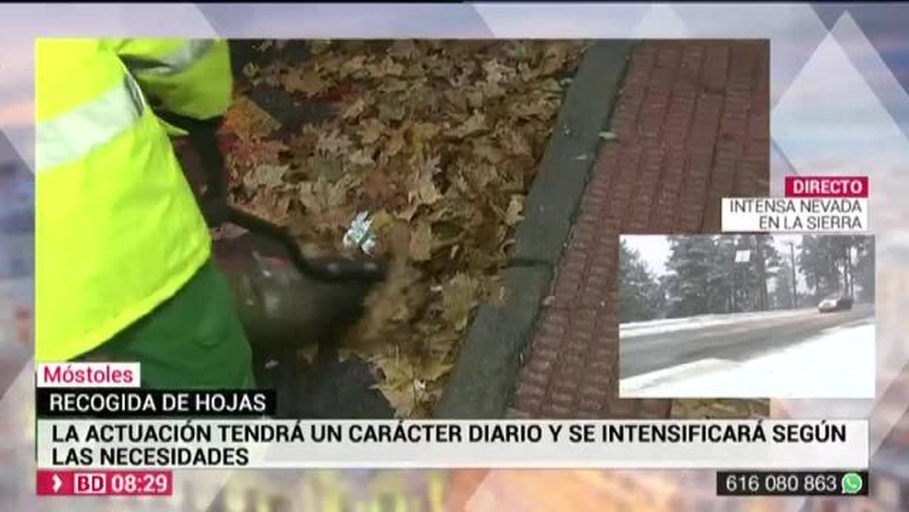 Buenos Días Madrid 14.11.2019 (8.00 - 9.00)